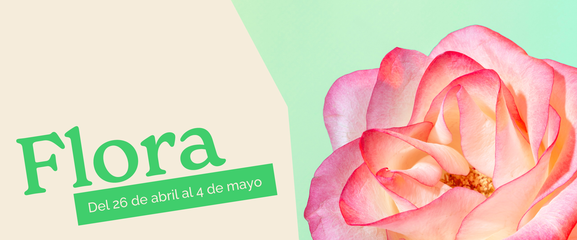 ¡Nueva instalación artística y punto selfie WOW de Primavera en Los ARCOS!🌸🌼🌺