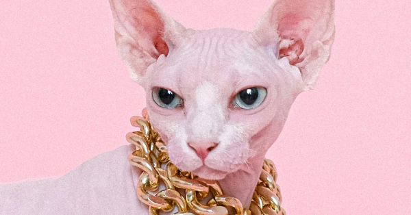 Bienvenidos a JALEO, el Festival Urbano de Artes y Entretenimiento de Los Arcos🎶🤘